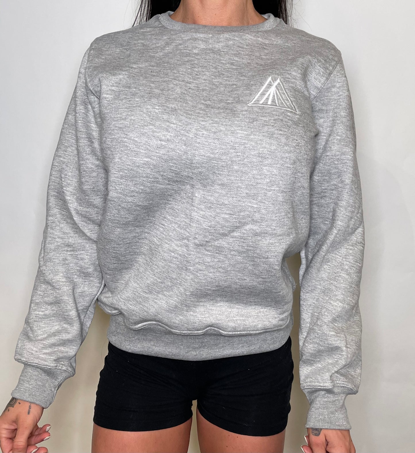 TMPL3 unisex logo pullover