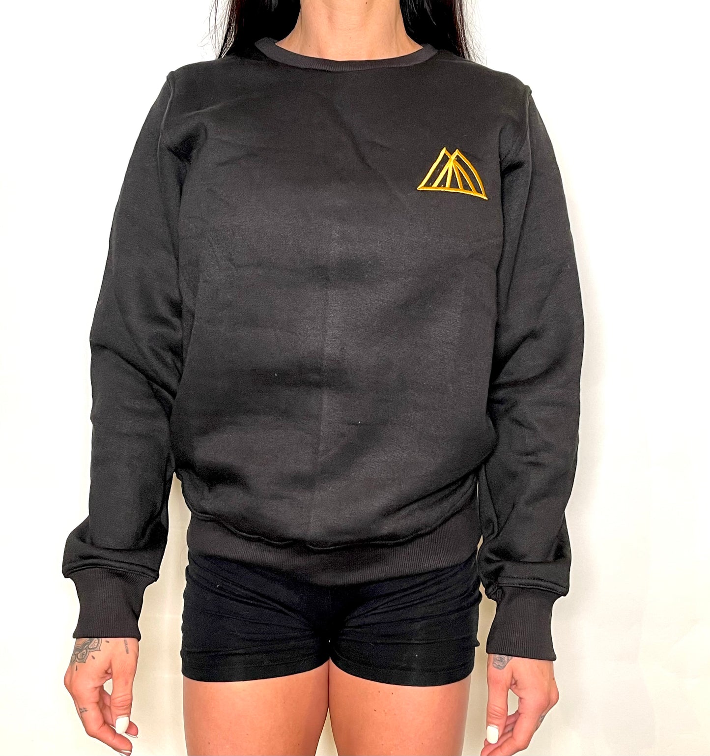 TMPL3 unisex logo pullover