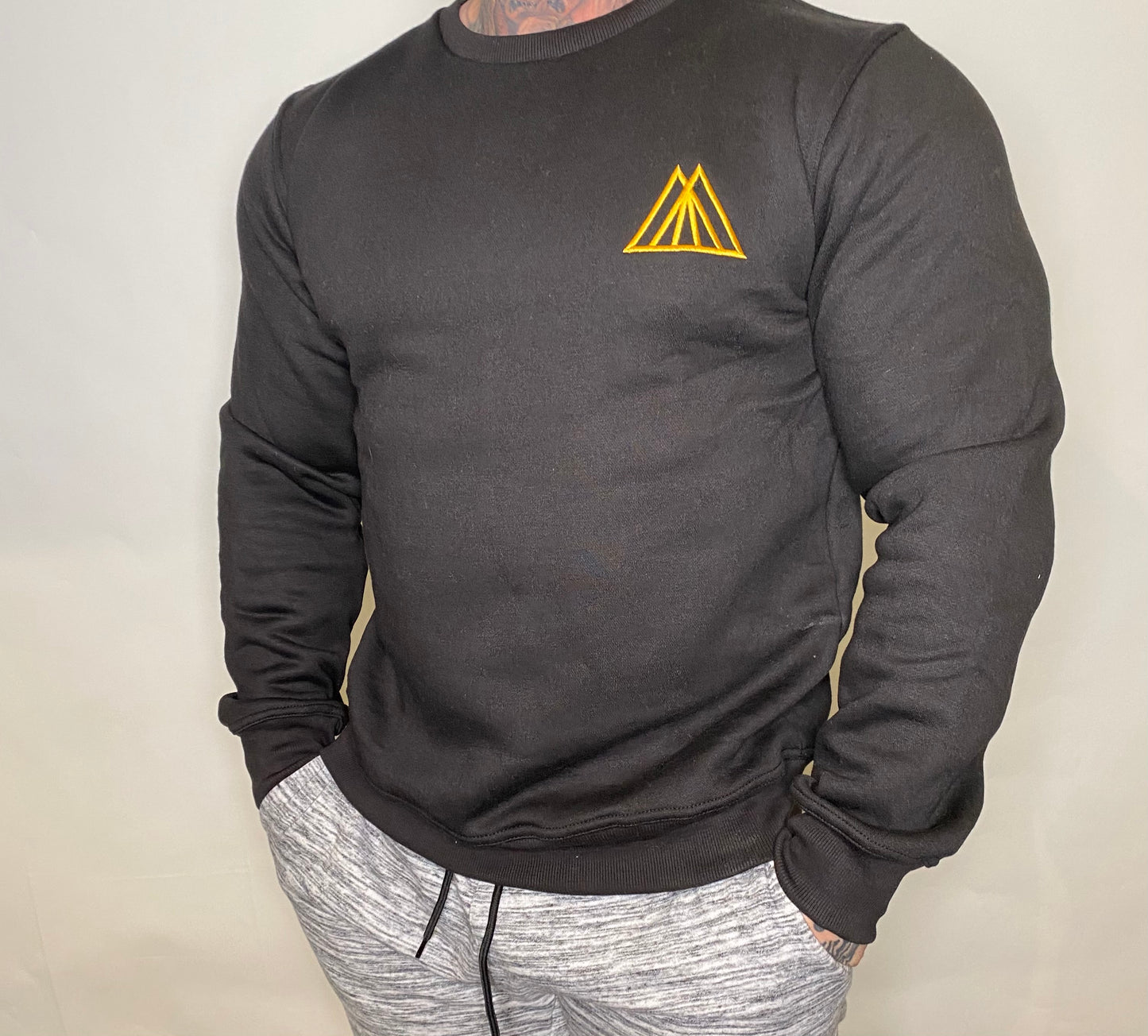 TMPL3 unisex logo pullover