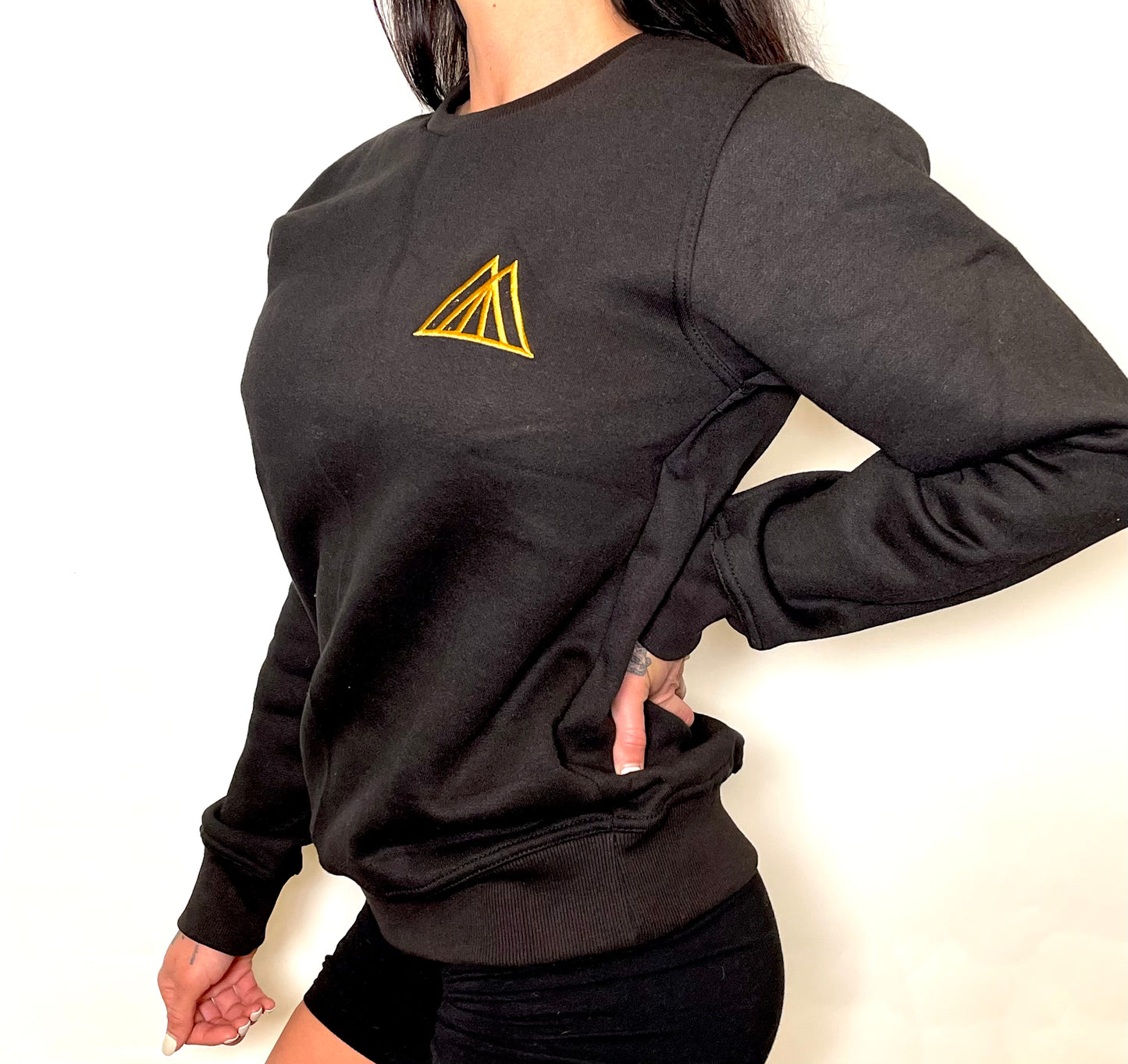 TMPL3 unisex logo pullover