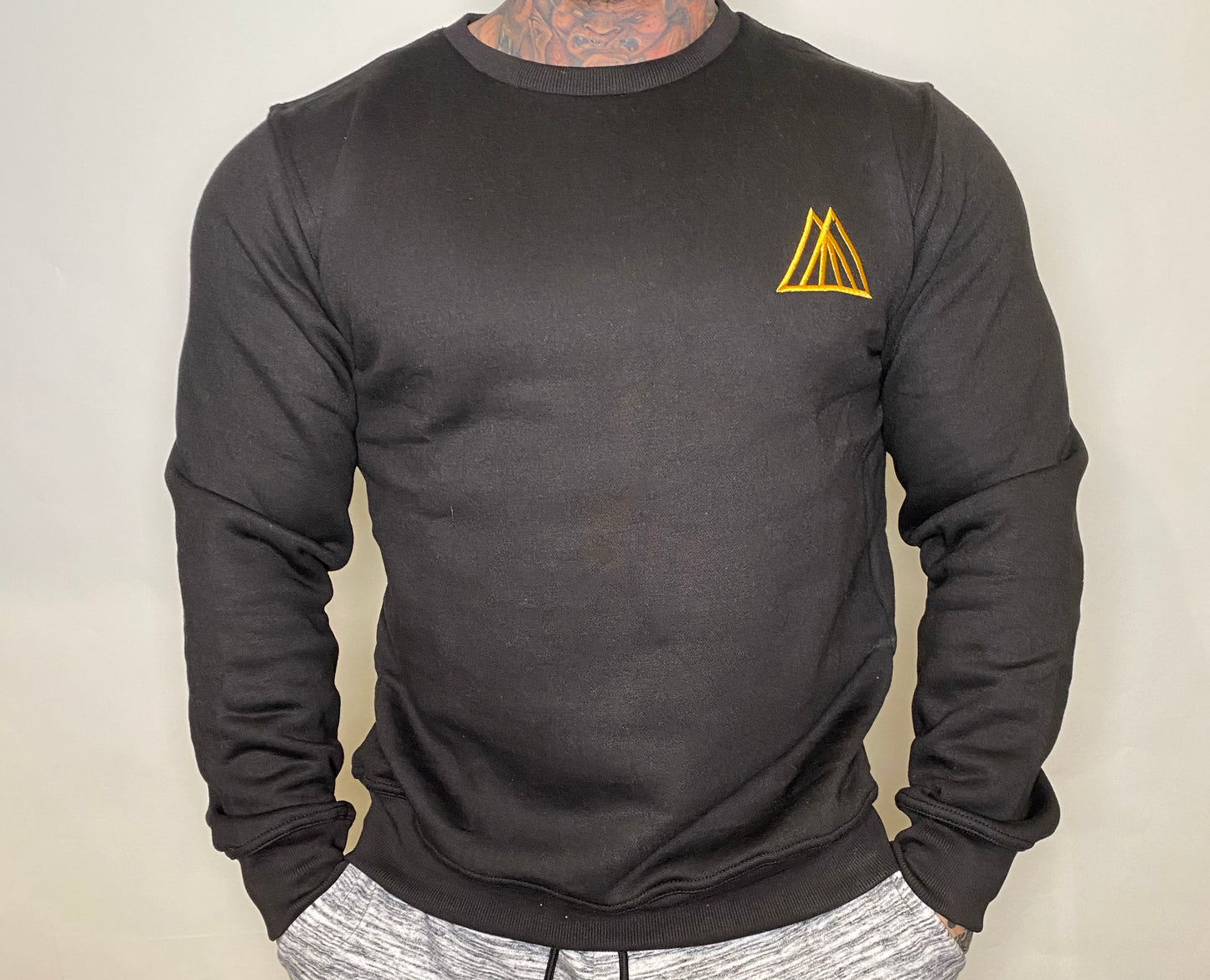 TMPL3 unisex logo pullover